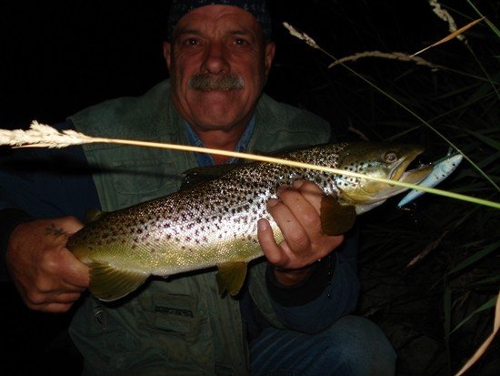 Crank-bait fishing the Bow River for night time browns 