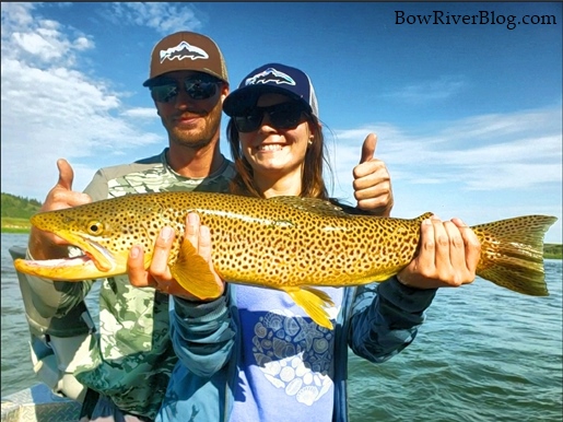 Bow River Trout Fishing July 2020 – Bow River Blog