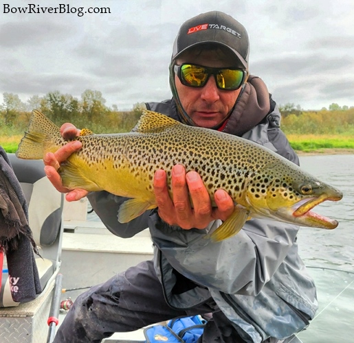 Bow River Blog – Page 12 – Is Your Fishing Resource For Spin Fishing The Bow  River