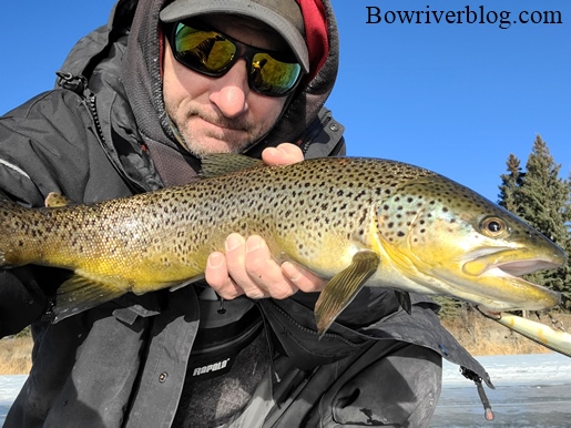 Fishing the Bow River with the vintage Blue Fox minnow spinner