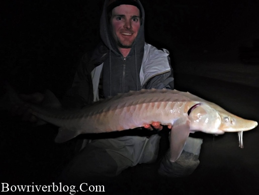 Anglers land huge sturgeon despite broken reel