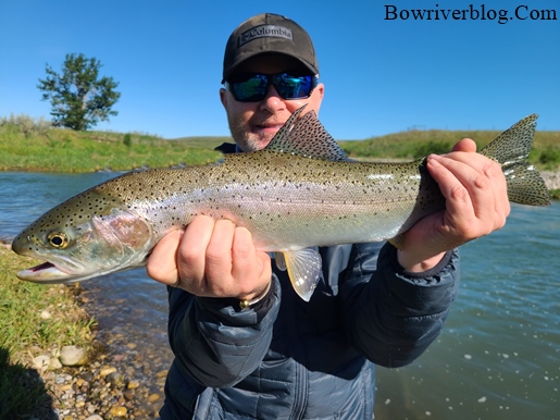 Guided spin fishing trips, Bow River June 2021 – Bow River Blog