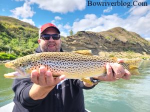 brown trout spin fishing the Bow River, Alberta