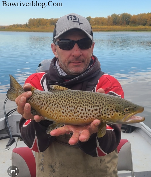 Sizzlin September trout fishing the Bow River – Bow River Blog