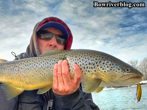 Introducing Robertson Tackle – Bow River Blog