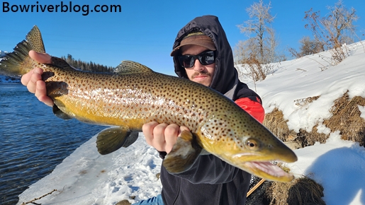 Slowing it down for those big Bow River Browns – Bow River Blog