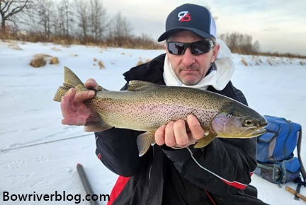 Spin fishing the Bow River January 2023 – Bow River Blog