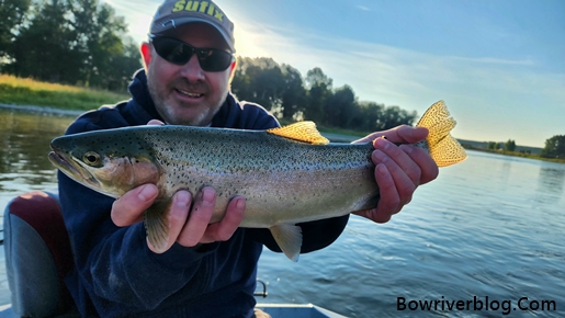 Exploring the Beauty and Bounty of Rainbow Trout in the Bow River – Bow  River Blog