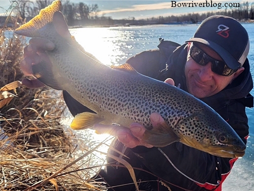 EGO S2 Slider Net – Bow River Blog