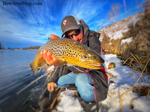 Bow River Blog – Is Your Fishing Resource For Spin Fishing The Bow